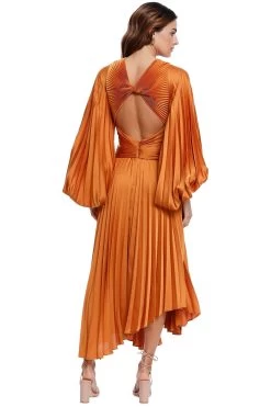 ACLER Palms Dress (Turmeric) - RRP $495 -Fashion Evening Dress Store acler palms dress turmeric midi