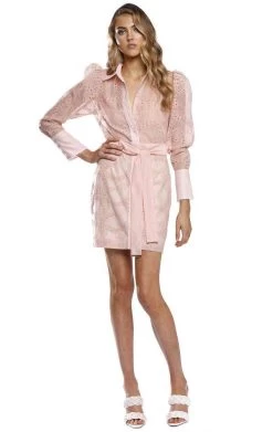 BUY IT PASDUCHAS Parlour Mini Dress (blush Pink)